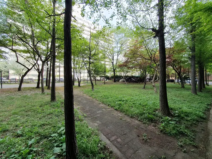 녹지를 가로지르는 산책로