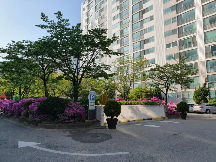 철쭉 화단의 회전 교차로