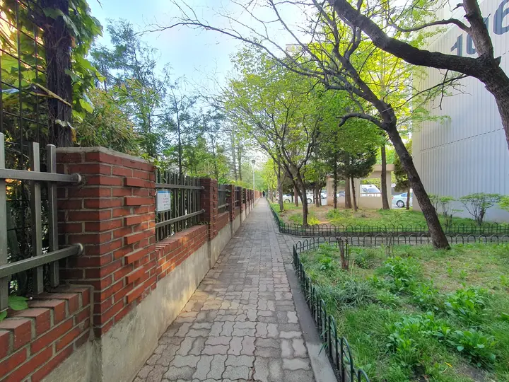 담장 따라 난 산책길