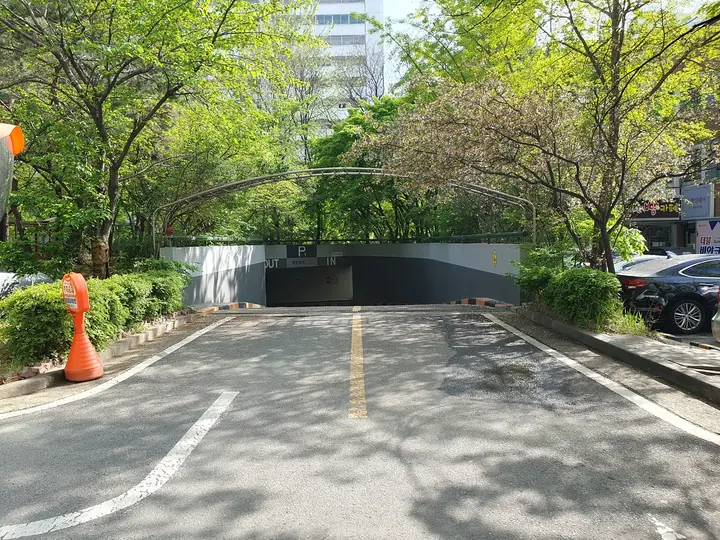 나무 아래 지하주차장 입구