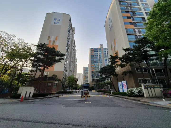 소나무 너머 101동