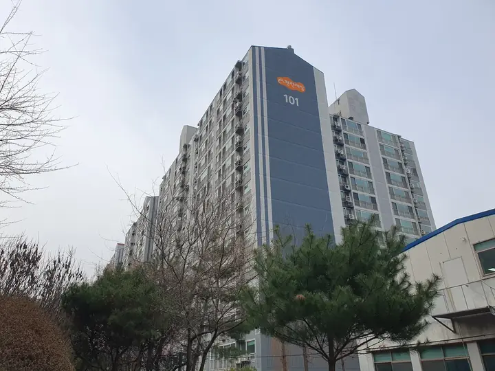 나무 위로 올려다본 101동