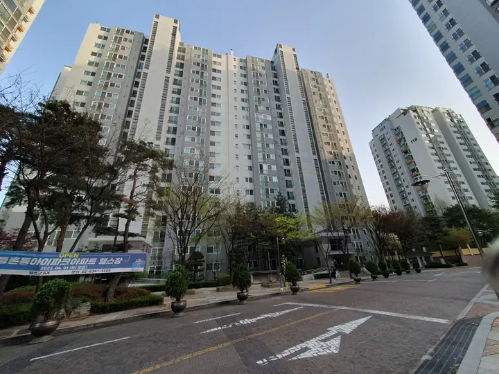 단지 안 도로와 동 전경