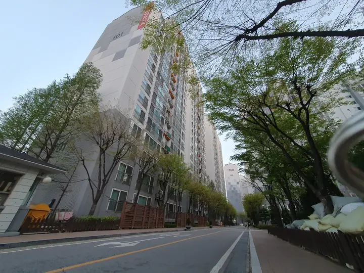 가로수가 늘어선 단지 안길
