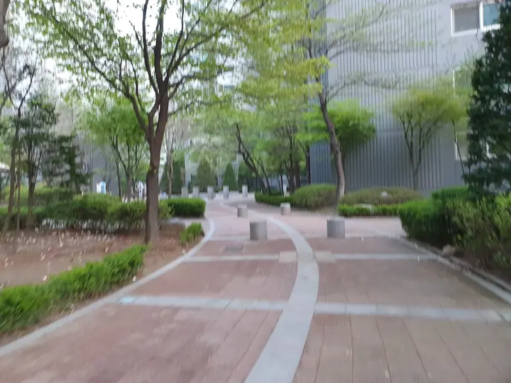 나무 사이 산책로
