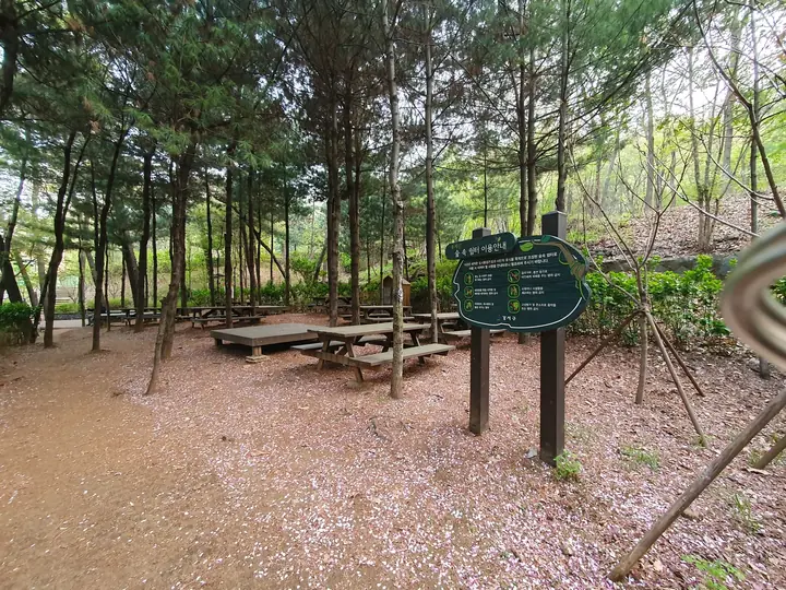 숲속 평상 쉼터
