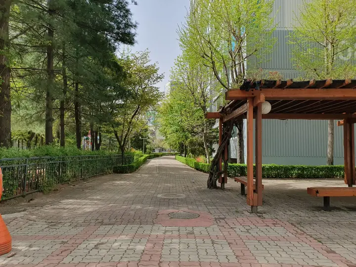 퍼걸러 옆 숲 산책길