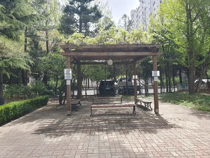 나무 그늘 속 퍼걸러