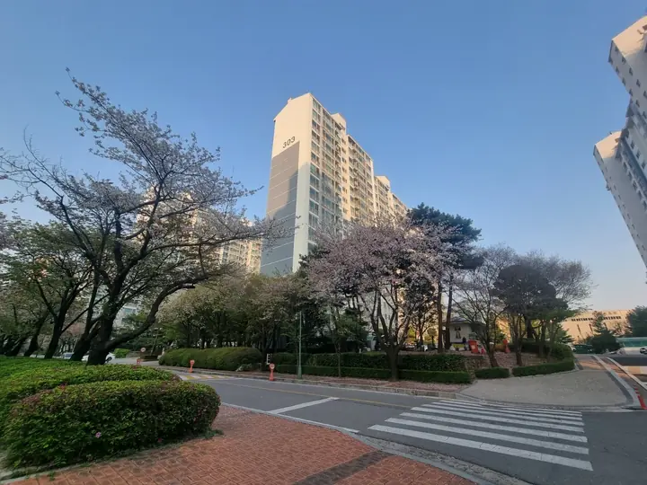 벚나무와 화단이 있는 모퉁이
