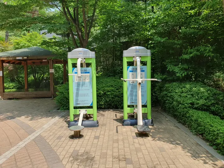 나무 옆 운동기구