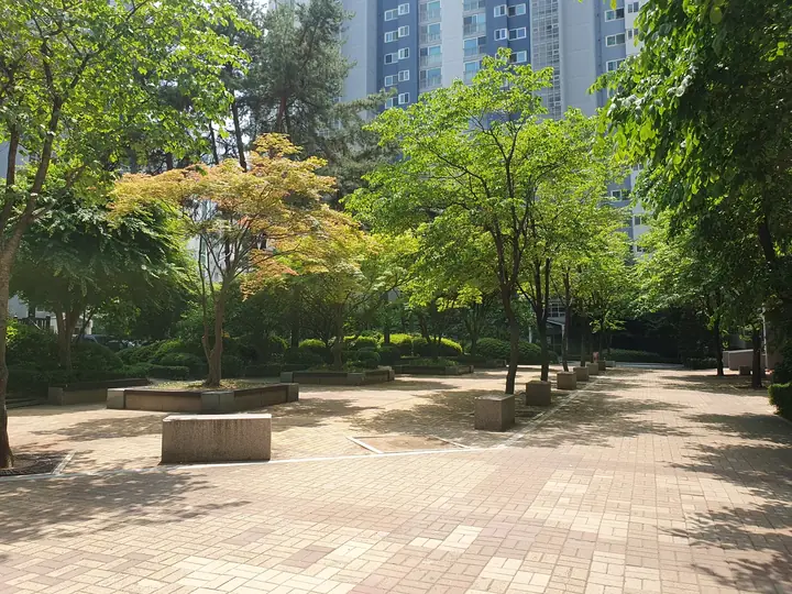 나무 그늘이 덮인 광장