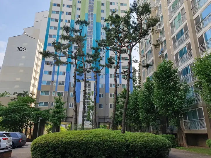 소나무 너머 102동
