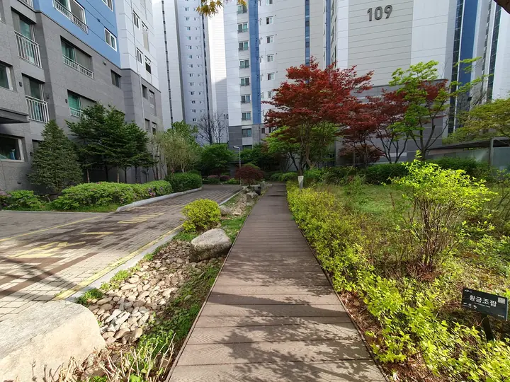 109동 앞 정원 산책로