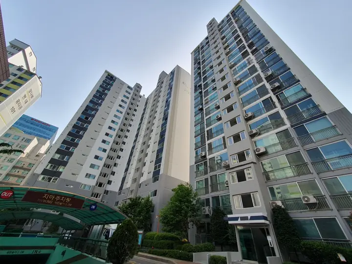 지하주차장 입구 위로 솟은 동