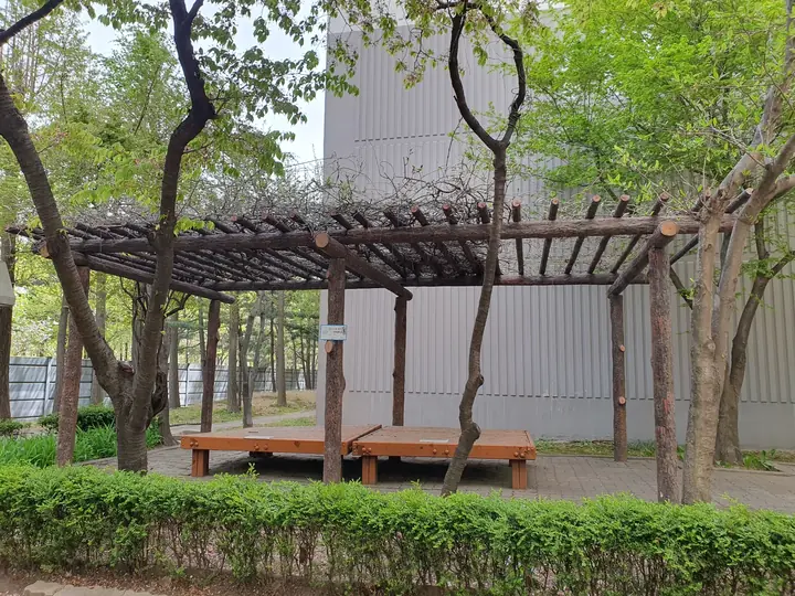 등나무 퍼걸러와 평상