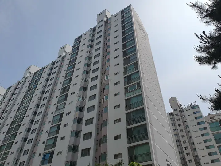 올려다본 102동