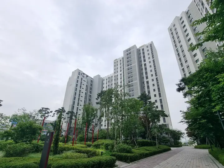 조경수가 늘어선 단지 안 광장