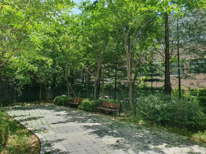 숲속 산책로와 벤치