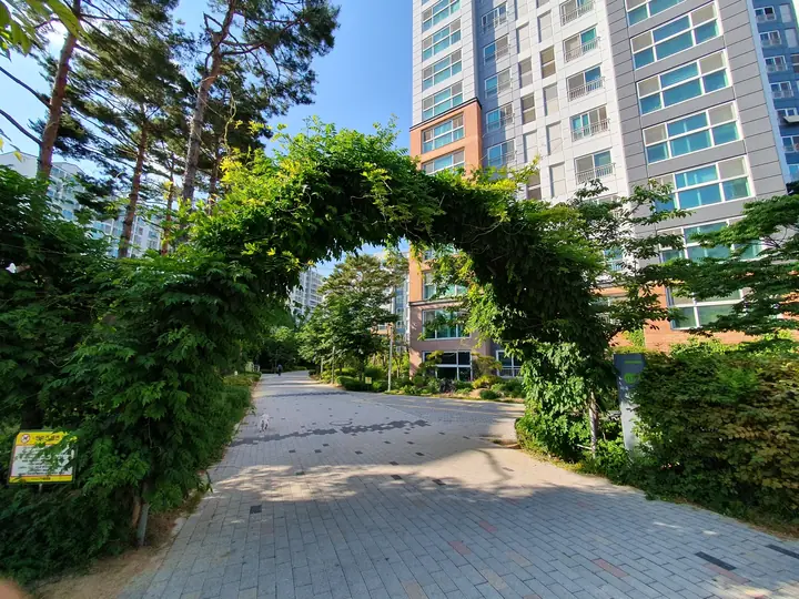 덩굴이 덮은 아치 길