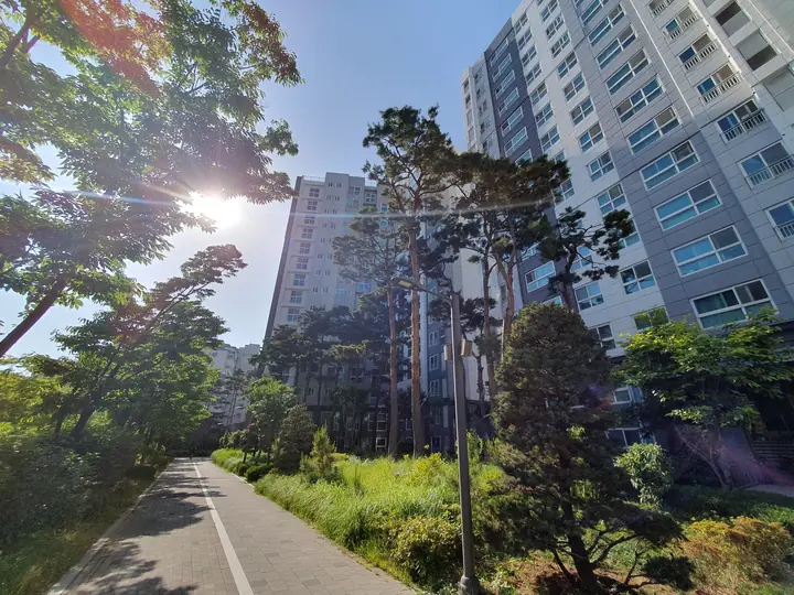 나무 사이로 난 산책로