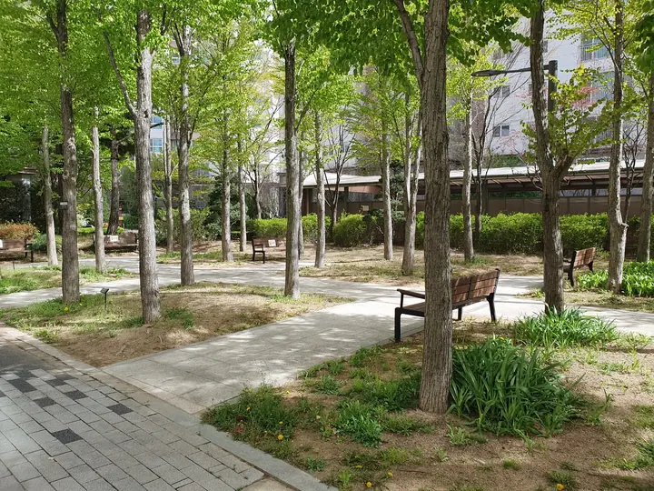 나무 사이 산책로와 벤치
