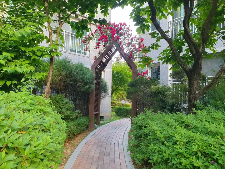 꽃 넝쿨 아치가 걸린 산책로
