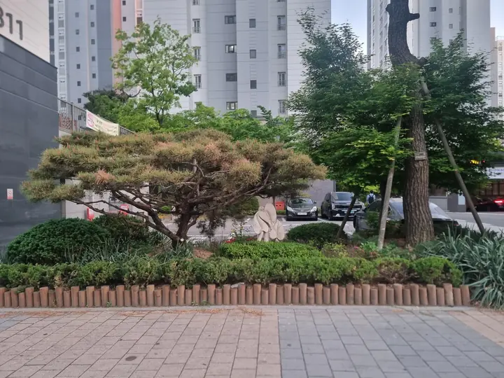 소나무가 놓인 단지 입구 화단