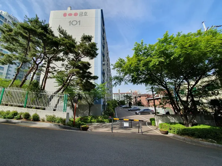 소나무 너머 101동