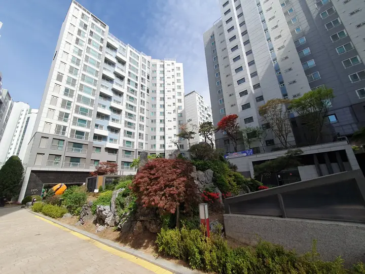 단풍나무 화단과 동 전경