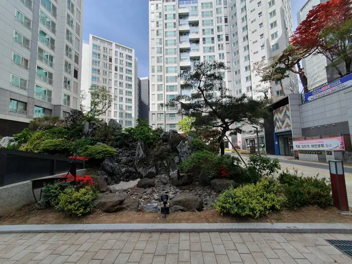 소나무가 선 산수정원