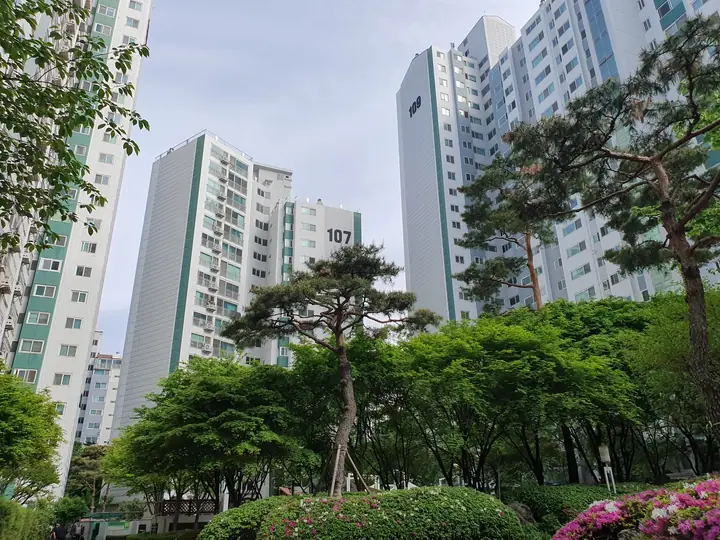 소나무 너머 107동