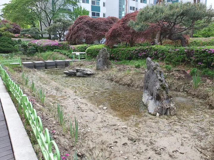 돌과 단풍이 놓인 연못 정원
