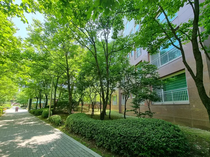 숲처럼 우거진 동 사이 길