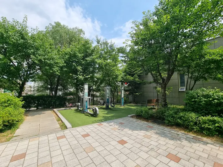 잔디 위 야외 운동기구