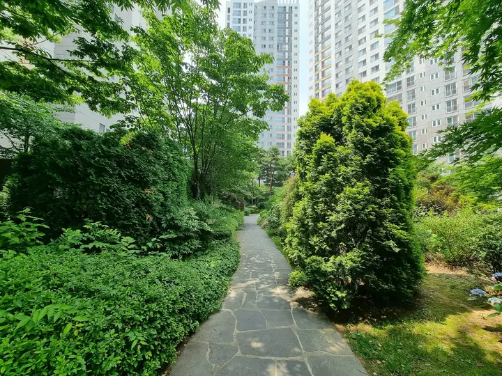 숲 사이 오솔길