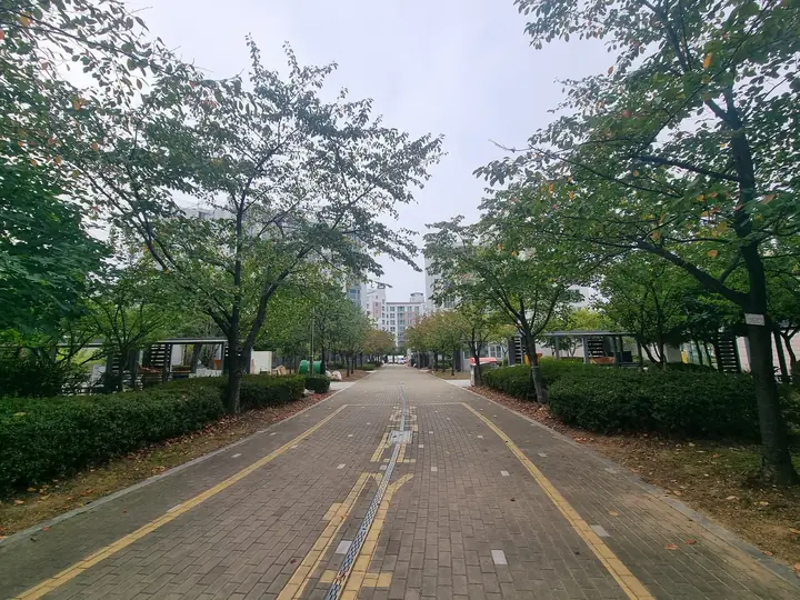 나무 그늘이 이어지는 산책로