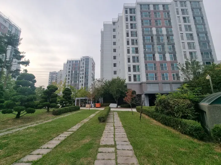 잔디밭을 가로지르는 디딤돌 길