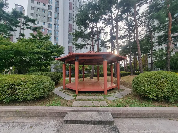 소나무 숲 속 팔각정