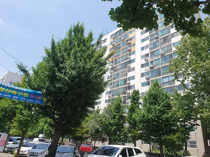 가로수 너머 길게 이어진 동