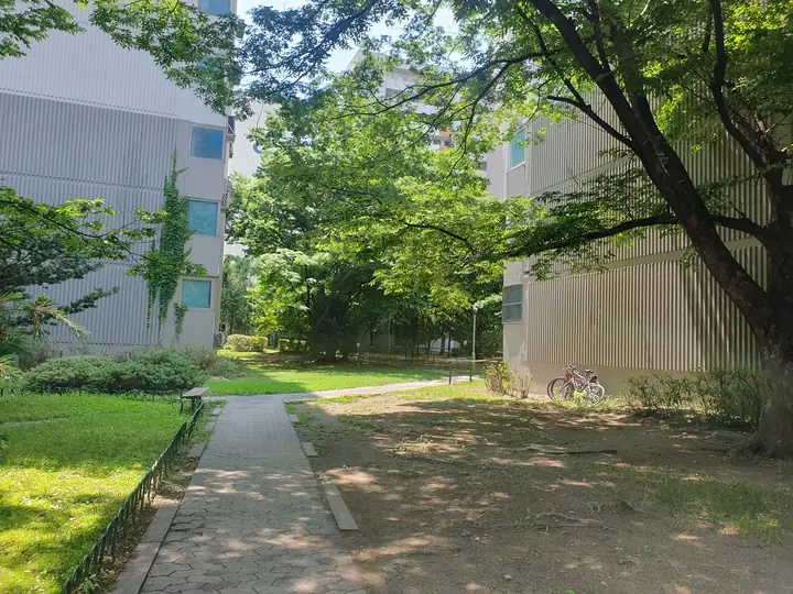 동 사이 숲속 산책로