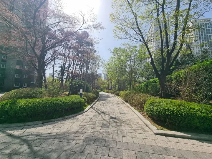 나무 사이로 굽어 가는 숲길