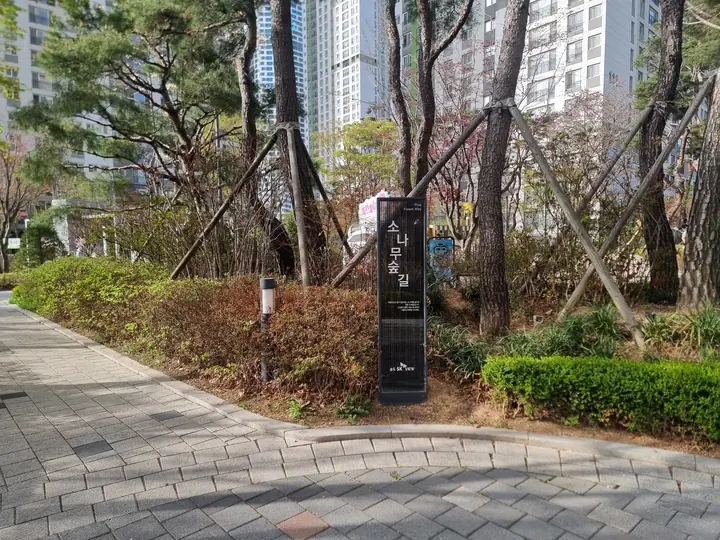 소나무 숲길 입구 표지