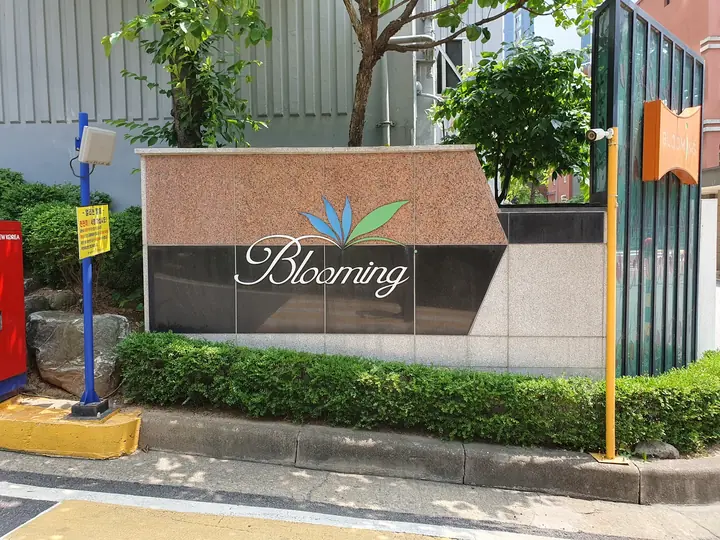 Blooming 단지 표지
