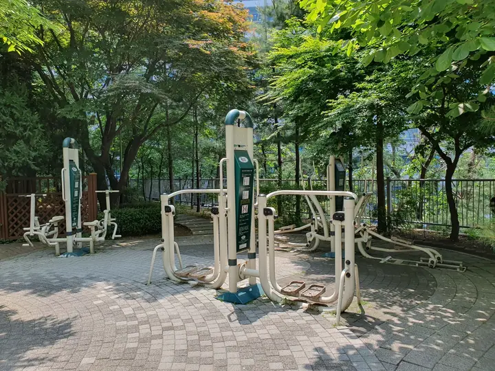 나무 그늘 아래 운동기구