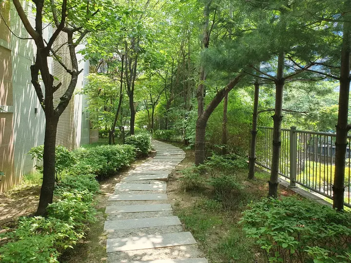 동 옆 숲속 디딤돌 산책길