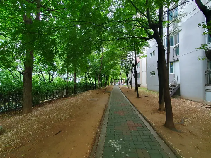 담장을 따라 난 숲길 산책로