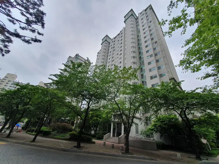 나무 사이 동 출입구