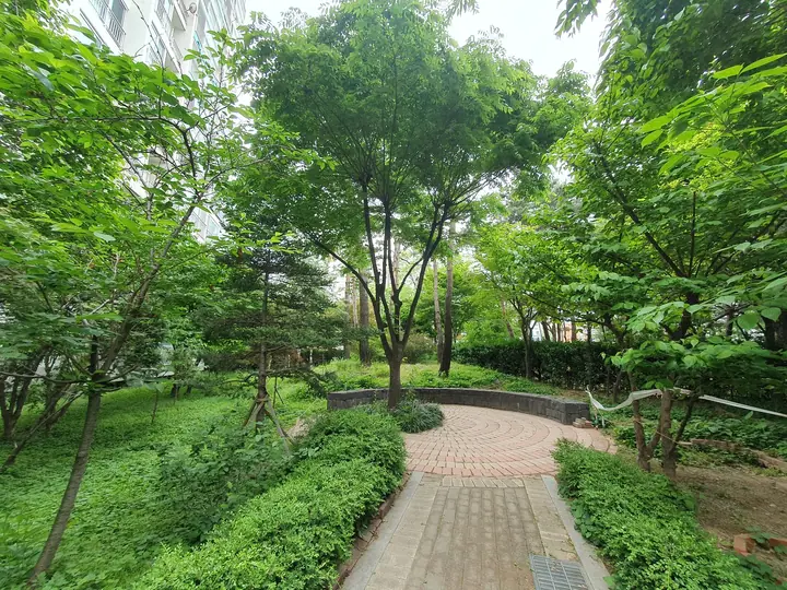 나무 사이 산책로