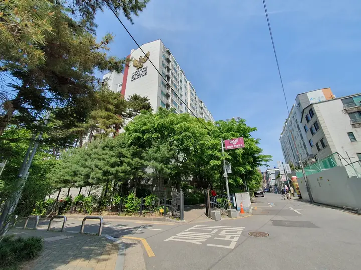 담장 숲 너머 동