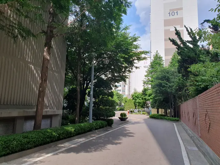 담장을 따라 난 안길